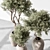 Olive Tree in Pot 3D model small image 4