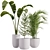 Corona Indoor Plants Set 2015 3D model small image 1