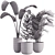 Corona Indoor Plants Set 2015 3D model small image 3