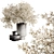 Legacy Plant 3D Model Bundle 3D model small image 2
