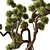 Bonsai Plant 707 - Indoor Greenery 3D model small image 3