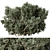 Cathaya 141 Bush Variety Set 3D model small image 1