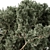 Cathaya 141 Bush Variety Set 3D model small image 2