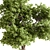 Bonsai 714 Indoor Plant 3D model small image 2