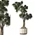 Lush Indoor Plant Set 3D model small image 1