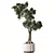 Lush Indoor Plant Set 3D model small image 6