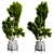 202,753 Poly Indoor Plant Model 3D model small image 2