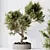 Modern Indoor Plant Set Trio 3D model small image 3