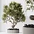 Modern Indoor Plant Set Trio 3D model small image 6