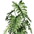 Botanical Set 1076: Lush Greenery 3D model small image 2