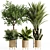 Premium Indoor Plants Set 99 3D model small image 1