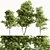 Maple Forest Miniature Set 3D model small image 1