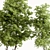 Maple Forest Miniature Set 3D model small image 2