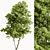 Maple Forest Miniature Set 3D model small image 4