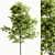Maple Forest Miniature Set 3D model small image 6