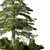 Rustic Outdoor Plant Set 3D model small image 2