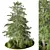 Rustic Outdoor Plant Set 3D model small image 3