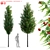 Sorbus Aucuparia Fastigiata Tree Set 3D model small image 1