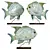 Colorful Fish Figurines Set 3D model small image 5