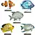 Colorful Fish Figurines Set 3D model small image 8