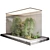  Glass-Encased Bonsai and Grass 3D model small image 5