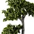 Botanical Bliss Collection: Fresh Greenery 3D model small image 3