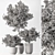 Botanical Beauty - Indoor Tree Display 3D model small image 6