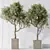 3D Indoor Plant Set Bundle 3D model small image 3