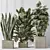 3D Indoor Plant Set Bundle 3D model small image 4