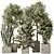 3D Indoor Plant Set Bundle 3D model small image 6
