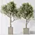 3D Indoor Plant Set Bundle 3D model small image 8