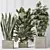 3D Indoor Plant Set Bundle 3D model small image 9