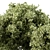 139-Piece Mixed Plant Bush Set 3D model small image 2