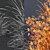 Luminous Grass Duo 3D Models 3D model small image 7