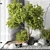 Interior Garden Props & Decor 3D model small image 3