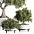 Premium Indoor Plant Set 3D 3D model small image 2