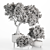 Premium Indoor Plant Set 3D 3D model small image 4