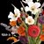 Spring Field Flowers Bouquet Display 3D model small image 6