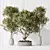 Modern Indoor Plant Trio Set 3D model small image 2