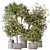 Variety of 5 Indoor Plant 3D Models 3D model small image 1