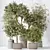 Variety of 5 Indoor Plant 3D Models 3D model small image 2