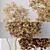 Variety of 5 Indoor Plant 3D Models 3D model small image 6