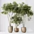 Elegant Olive Tree Set 3D model small image 4