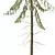 Spruce Tree02 3D Model Kit 3D model small image 2