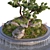 Diverse Pond Landscape Set 3D model small image 2