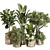 Leafy Green Indoor Plant Set 3D model small image 1