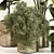 Leafy Green Indoor Plant Set 3D model small image 2