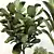 Leafy Green Indoor Plant Set 3D model small image 4