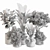 Leafy Green Indoor Plant Set 3D model small image 5
