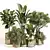 Leafy Green Indoor Plant Set 3D model small image 6